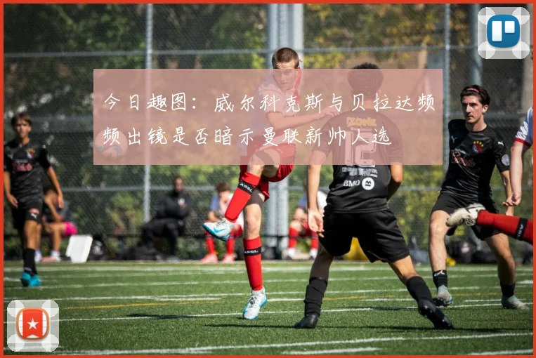 今日趣图：威尔科克斯与贝拉达频频出镜是否暗示曼联新帅人选