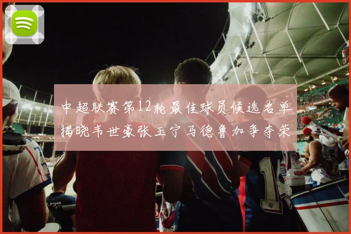 中超联赛第12轮最佳球员候选名单揭晓韦世豪张玉宁马德鲁加争夺荣誉
